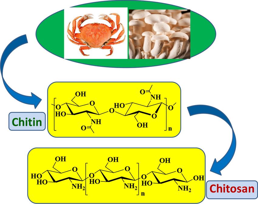Preparation, structure and drug release<br>behaviour of chitosan-based nanofibres