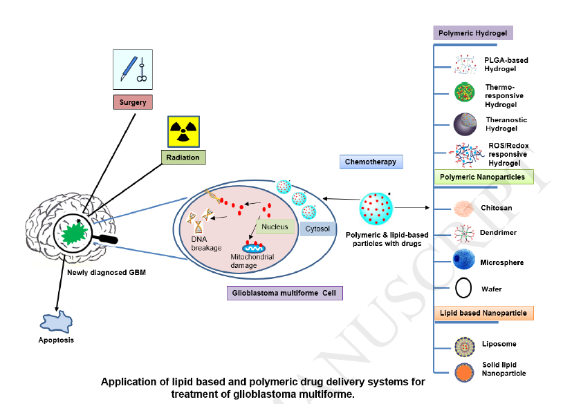 Polymeric and Lipid-based Drug Delivery Systems for  Treatment of Glioblastoma   Multiforme