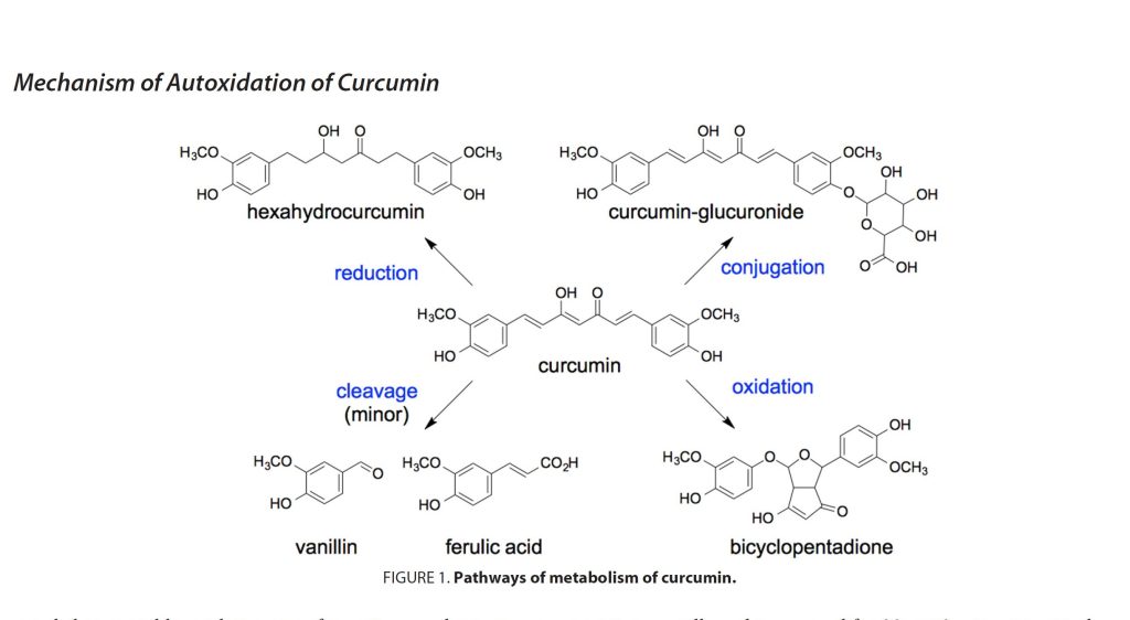 Unraveling Curcumin Degradation