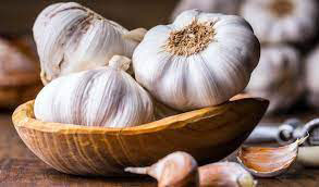 1.garlic (Allium sativum L.) as an Ally in the Treatment of Inflammatory Bowel Diseases