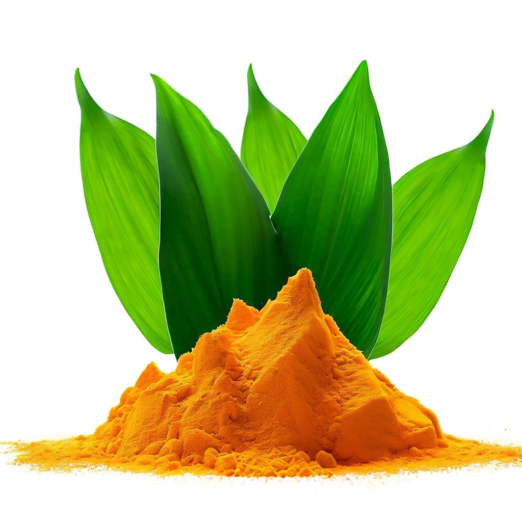 Curcumin Supplementation and Human Disease: (1)A Scoping Review of Clinical Trial