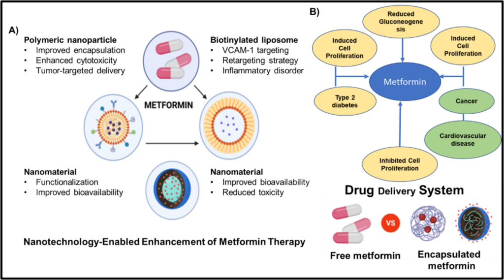 THE ENCAPSULATION OF METFORMIN ON CHITOSAN<br>MATRIX AS DIABETES MELLITUS DRUG<br>SLOW RELEASE SYSTEM THE ENCAPSULATION OF METFORMIN ON CHITOSAN<br>MATRIX AS DIABETES MELLITUS DRUG<br>SLOW RELEASE SYSTEM